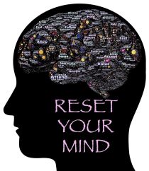 HPI Mindtest HPI Mindtest